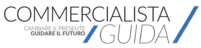 Commercialista Guida